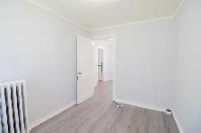 19 Dain Ave, Welland - Alll Inclusive 1 Bed   Den Main Unit - Photo 10