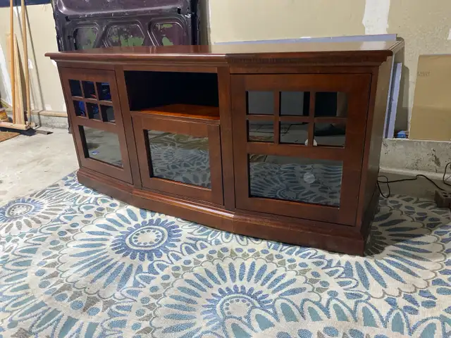 Entertainment Unit