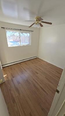 152 MAIN ST. - CHELMSFORD - Photo 6