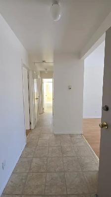 152 MAIN ST. - CHELMSFORD - Photo 12