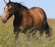 You won't find the likes of her running in big bunches !! - Photo 4