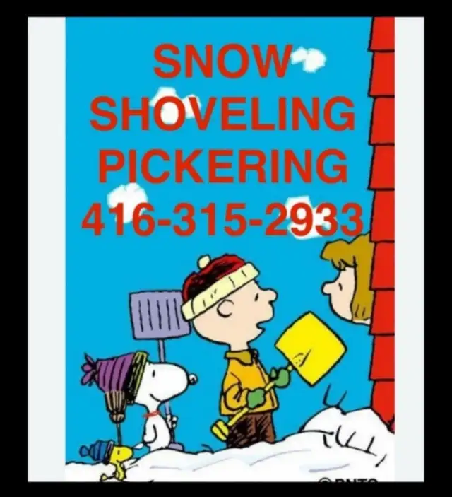 SNOWBLOWER DRIVEWAY PICKERING SHOVEL