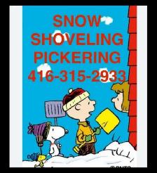SNOWBLOWER DRIVEWAY PICKERING SHOVEL