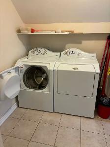 Small one bedroom basement apt. In Vaughan - Photo 3