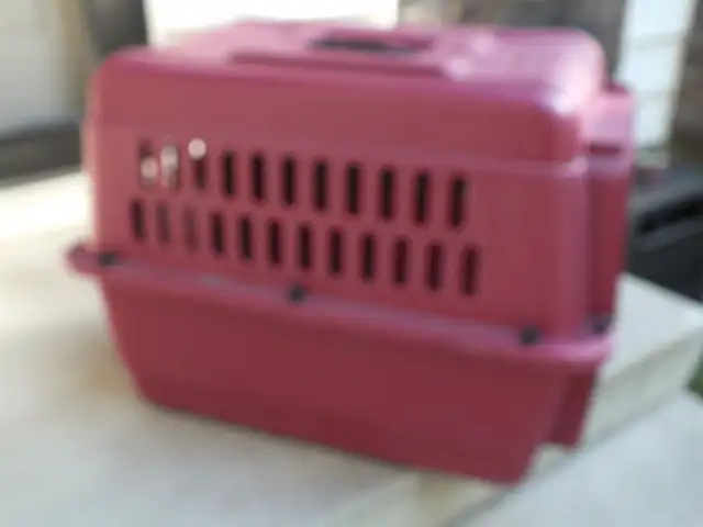 PET/KENNEL -  TRAVEL IN  SAFETY