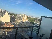 nice den has window for rent - Photo 5