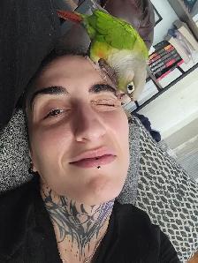 Conure cherche nouvelle famille - Photo 3