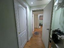 Nice Basement Room for Girl’ Student - Photo 5