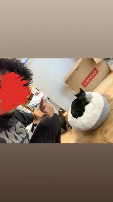 Chaton Noir retrouvé Laval des rapide (Cherche le propriétaire) - Photo 2