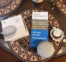 Google Home Mini Speaker