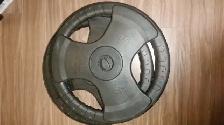 Plaque Disque Northern Light 45lb (prix unitaire)