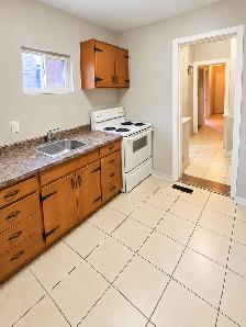 BRIGHT GROUND-FLOOR 1-BEDROOM – 800 SQ FT – PARKING INCLUDED - Photo 14