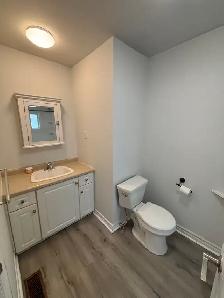 Charming & Cozy House for Rent in Niagara Falls - Photo 9