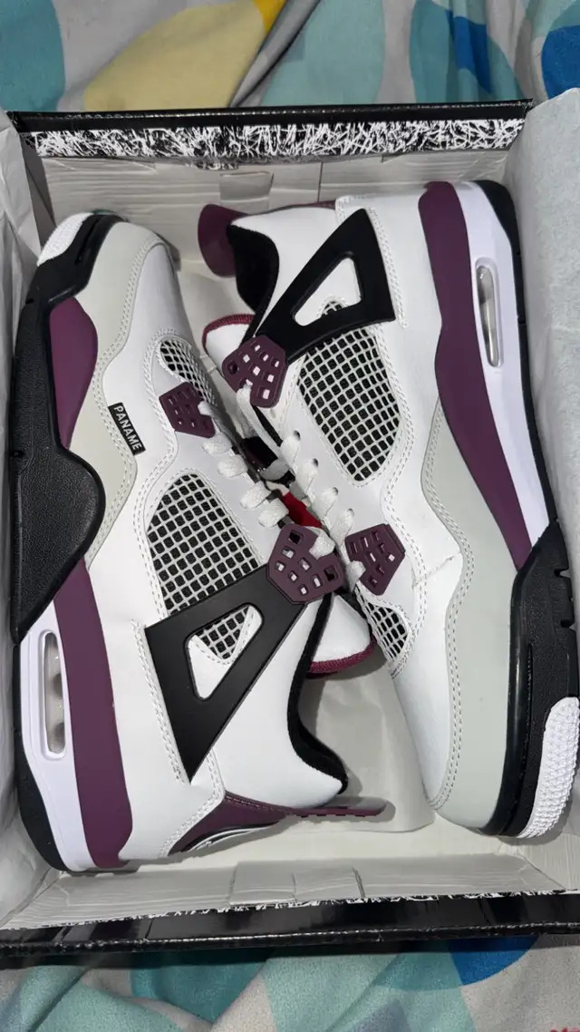 AIR JORDAN 4s PARIS