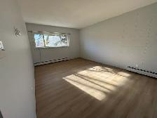 ⭐1 MONTH FREE RENT⭐ 2 Bedroom Suite in a Quiet Building - Photo 4