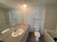 ⭐1 MONTH FREE RENT⭐ 2 Bedroom Suite in a Quiet Building - Photo 8