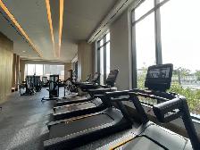 VINCENT CONDOS: Brand New 2 Bed/2Bath Corner Condo For Rent - Photo 15