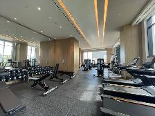 VINCENT CONDOS: Brand New 2 Bed/2Bath Corner Condo For Rent - Photo 17