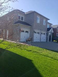 VAUGHAN - WESTON & RUTHERFORD - 2 BED, 1 BATH BASEMENT FOR RENT - Photo 15