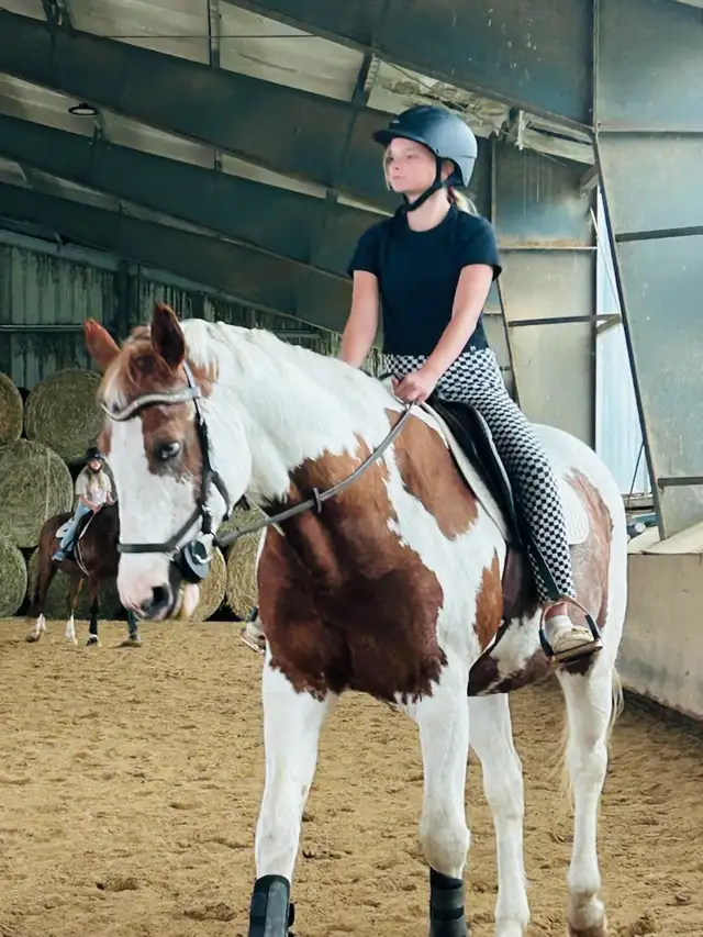 Horses available for Co-boarding