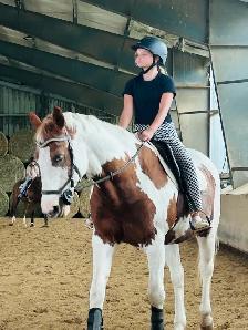 Horses available for Co-boarding