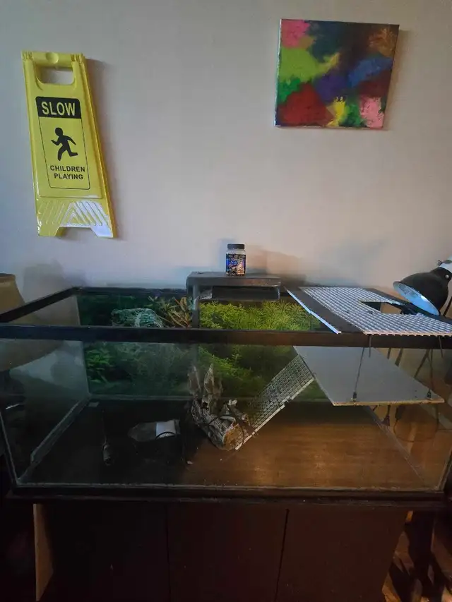 Terrariums