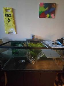 Terrariums