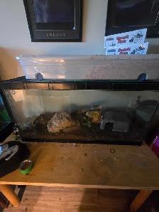 Terrariums - Photo 2