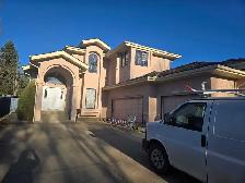 Drywall/ Taper/ Painter helpers wanted - Photo 9