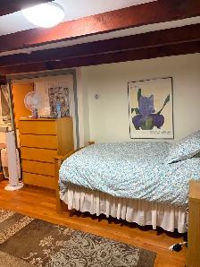 Bachelor Apartment for Rent! - Photo 9