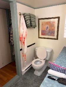 Bachelor Apartment for Rent! - Photo 13