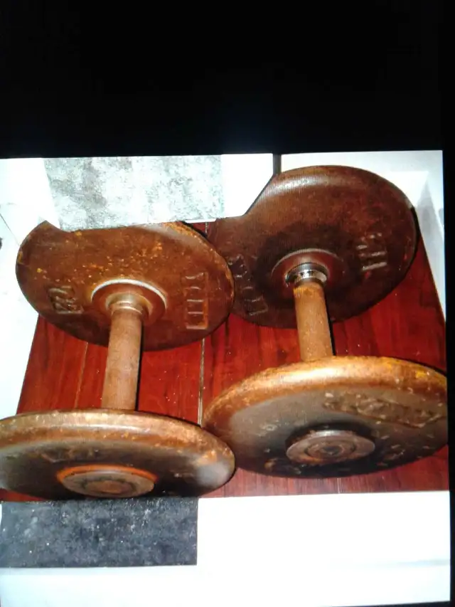 2x 15 pounds welded metal dumbbells  - $30 or trade