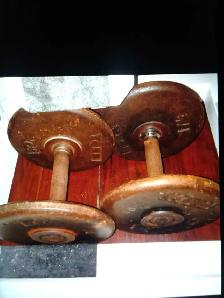 2x 15 pounds welded metal dumbbells  - $30 or trade