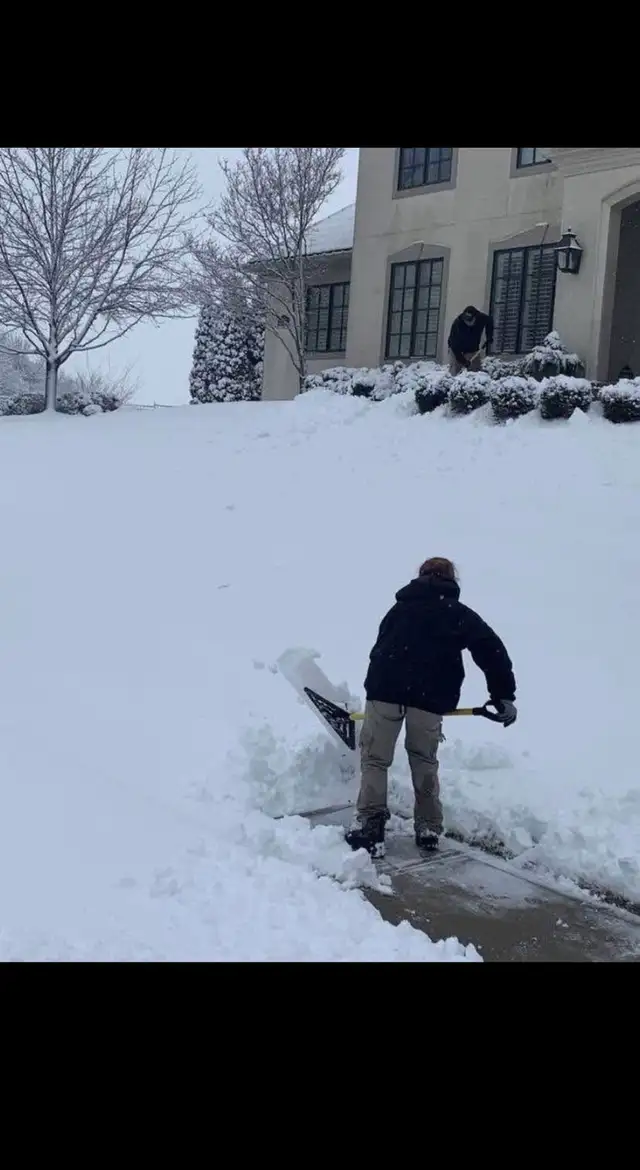 Déneigeur