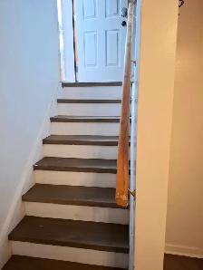 Basement  Unit With 2 1 Bedrooms For Rent - Photo 2