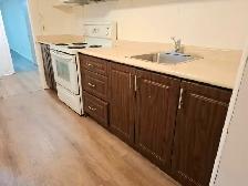 Basement  Unit With 2 1 Bedrooms For Rent - Photo 3
