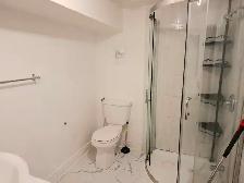 Basement  Unit With 2 1 Bedrooms For Rent - Photo 9