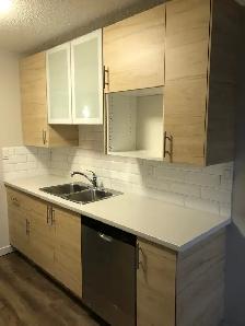 10216 119 Street - Premium 1 Bedroom - Great Oliver Location! - Photo 4