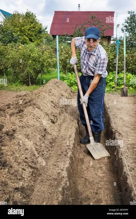Helper/handyman is needed for indoor and outdoor job