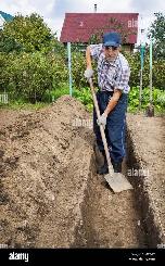 Helper/handyman is needed for indoor and outdoor job