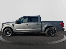 2025 Ford F-150 XLT CREWCAB 302A LOW KMS LOCAL TRADE - Photo 2