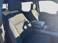 2025 Ford F-150 XLT CREWCAB 302A LOW KMS LOCAL TRADE - Photo 12