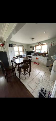room for rent Guelph downtown - Photo 4