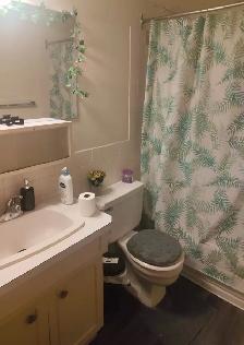 APARTMENT $950 - Photo 2