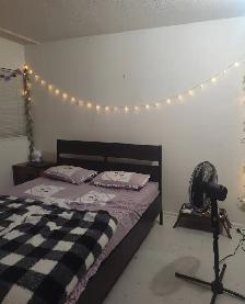APARTMENT $950 - Photo 4