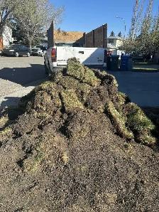 Junk / Dump : Mattress, Tables, Box springs, Demo, Yard Waste - Photo 3