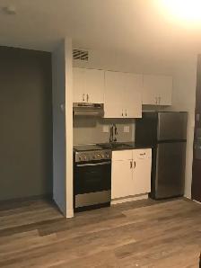 Studio for Immediate/October - Downtown Ottawa Apartment - Photo 5