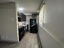 1 Month Free! Pet-Friendly Ground Floor Living on Michener Hill! - Photo 2