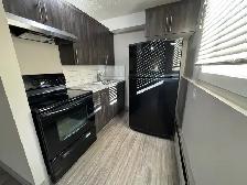 1 Month Free! Pet-Friendly Ground Floor Living on Michener Hill! - Photo 3
