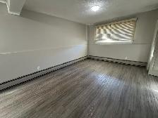 1 Month Free! Pet-Friendly Ground Floor Living on Michener Hill! - Photo 4